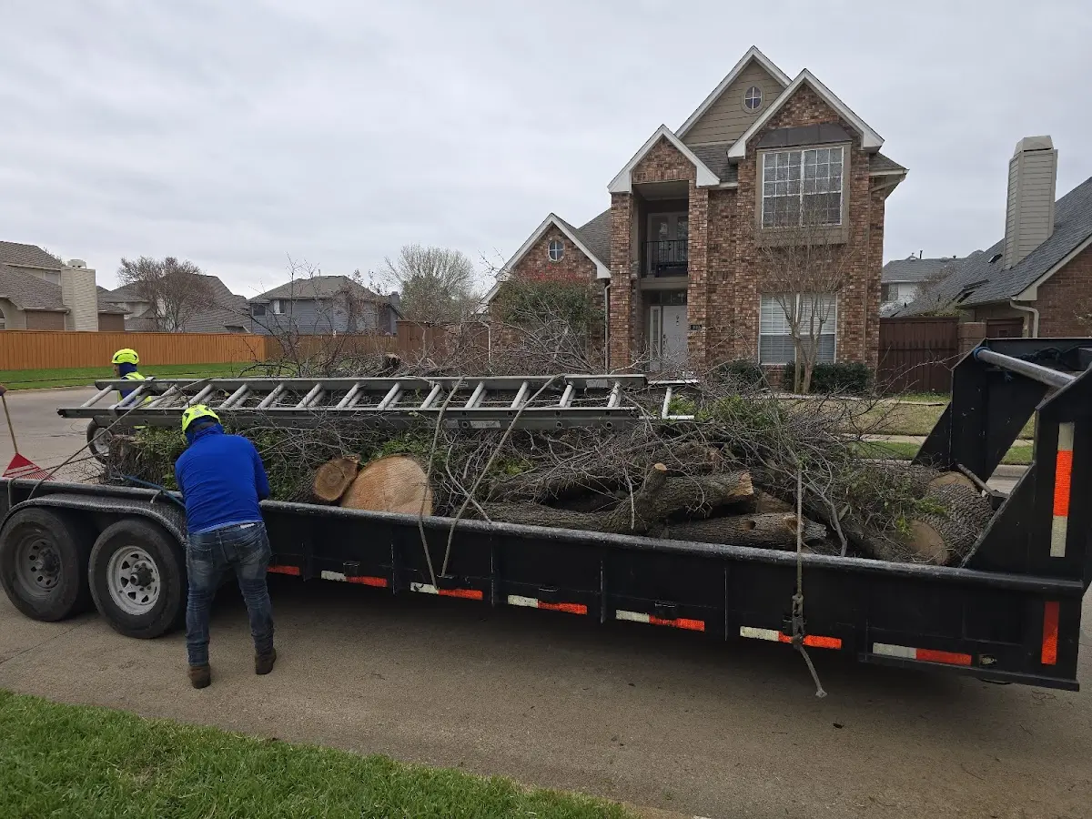 Expert Tree Pest Control with proper safety equipment in Geff